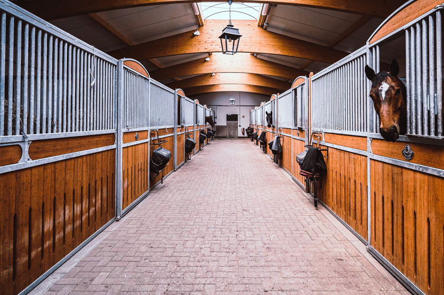 Klassische Reitausbildung, Haltung und Service